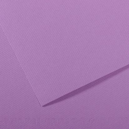 Бумага для пастели Mi-Teintes 160г/м.кв 50*65см №113, черника, 10л